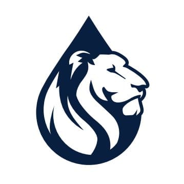 Blue Lion Labs Ltd.